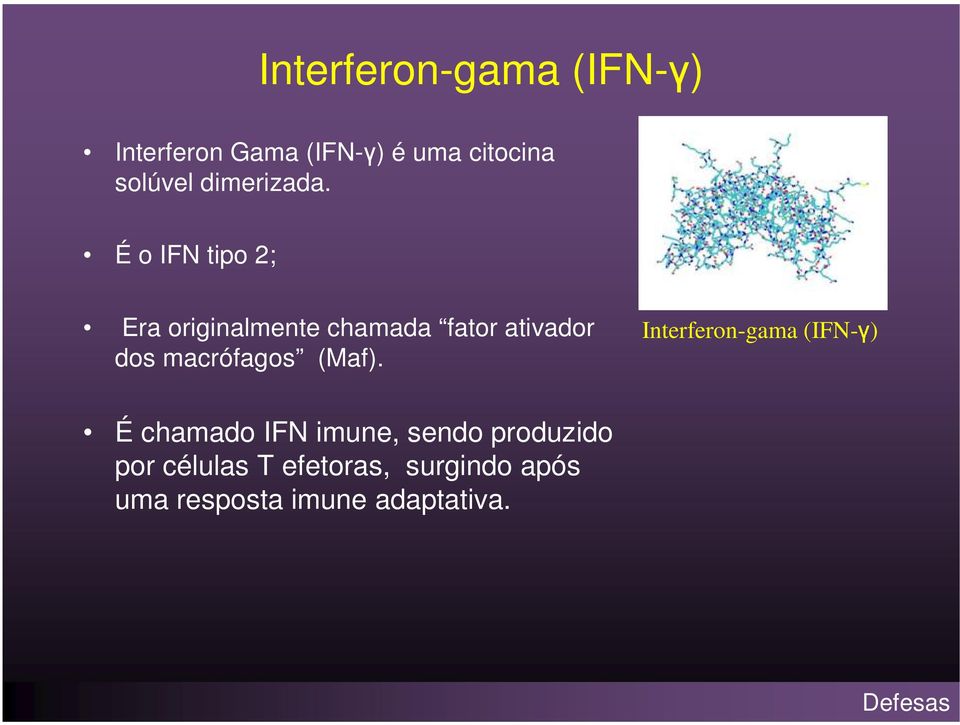 É o IFN tipo 2; Era originalmente chamada fator ativador dos macrófagos