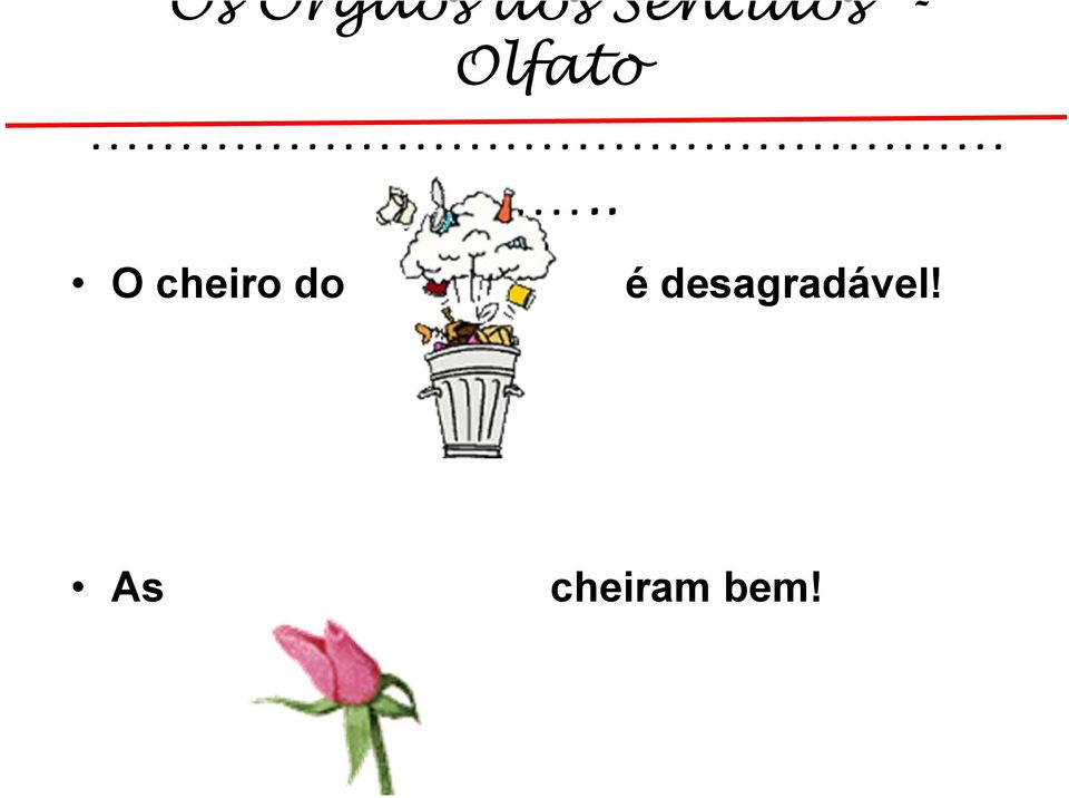 . O cheiro do é