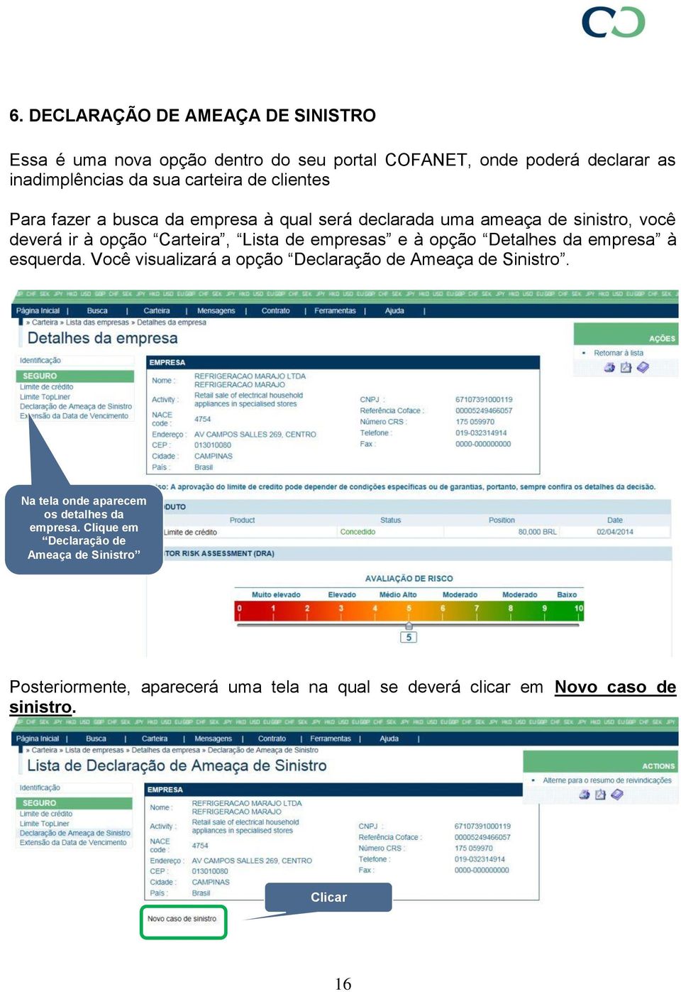 empresas e à opção Detalhes da empresa à esquerda. Você visualizará a opção Declaração de Ameaça de Sinistro.