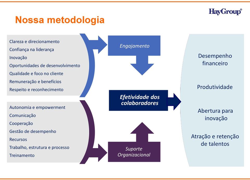 Cooperação Gestão de desempenho Recursos Trabalho, estrutura e processo Treinamento Engajamento Efetividade dos