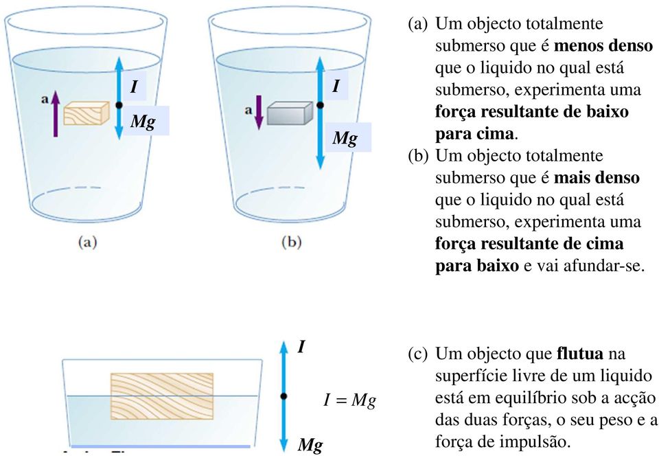 (b) Um objecto totalmente submerso que é mais denso que o liquido no qual está submerso, experimenta uma força