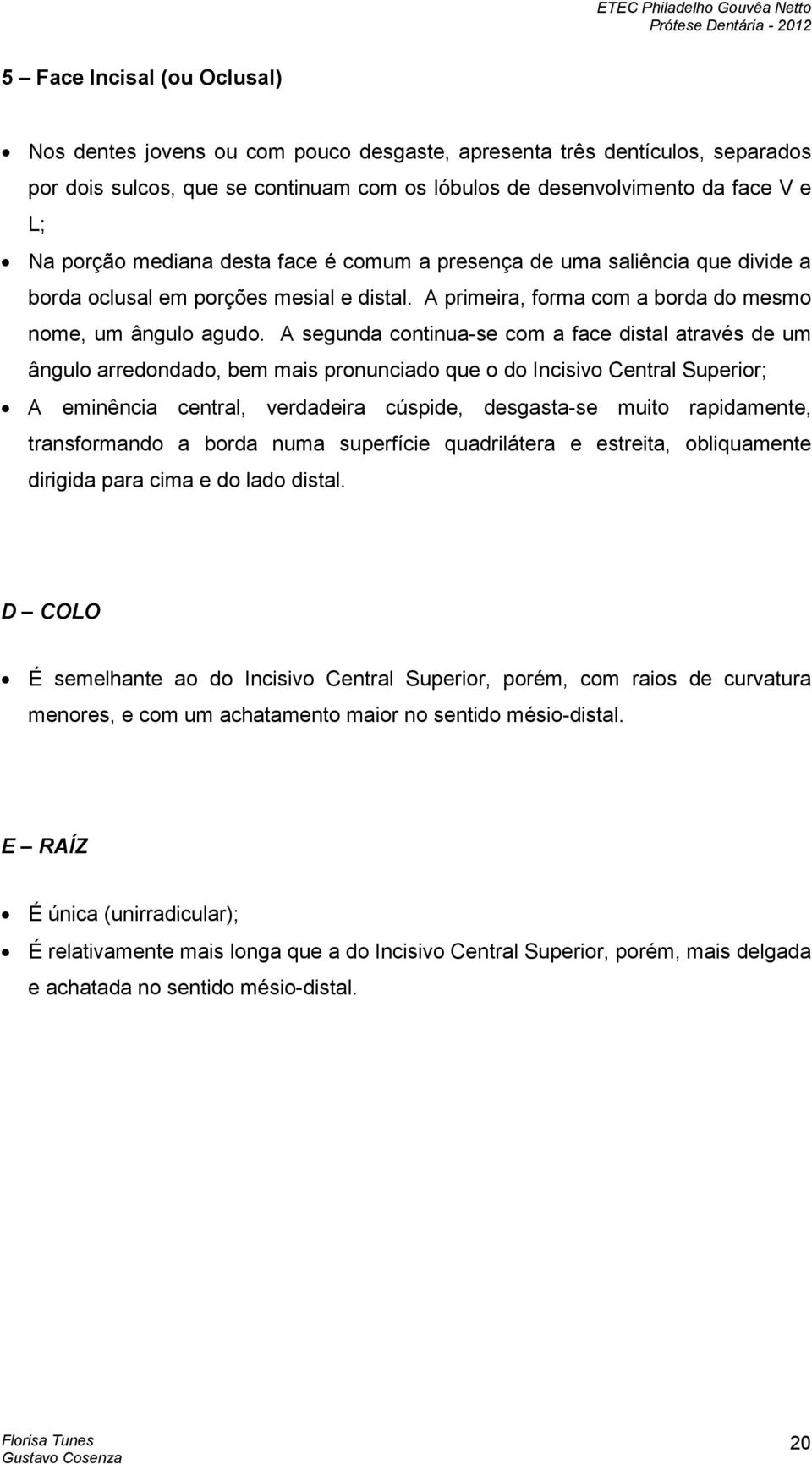 A segunda continua-se com a face distal através de um ângulo arredondado, bem mais pronunciado que o do Incisivo Central Superior; A eminência central, verdadeira cúspide, desgasta-se muito