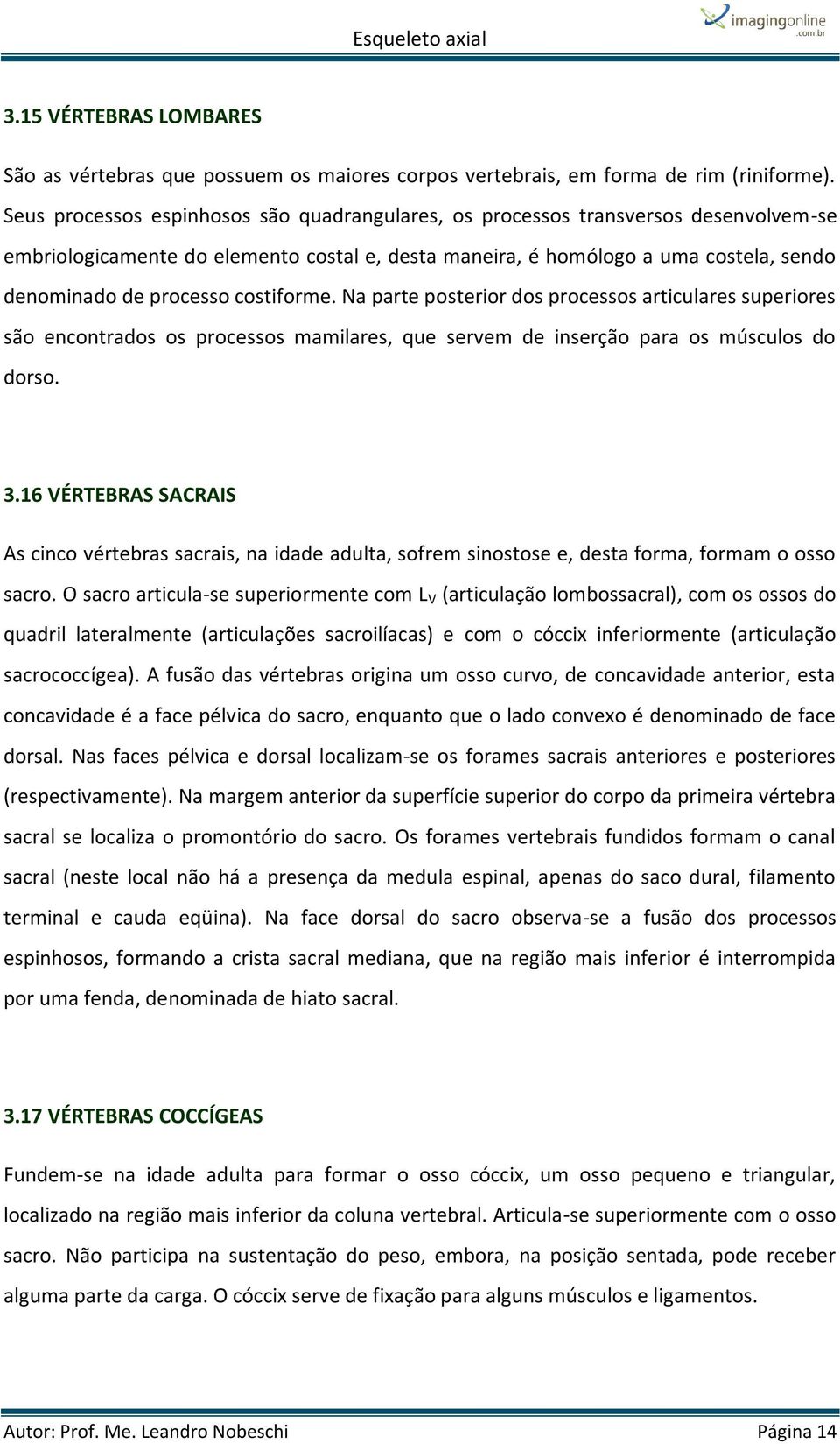 costiforme. Na parte posterior dos processos articulares superiores são encontrados os processos mamilares, que servem de inserção para os músculos do dorso. 3.