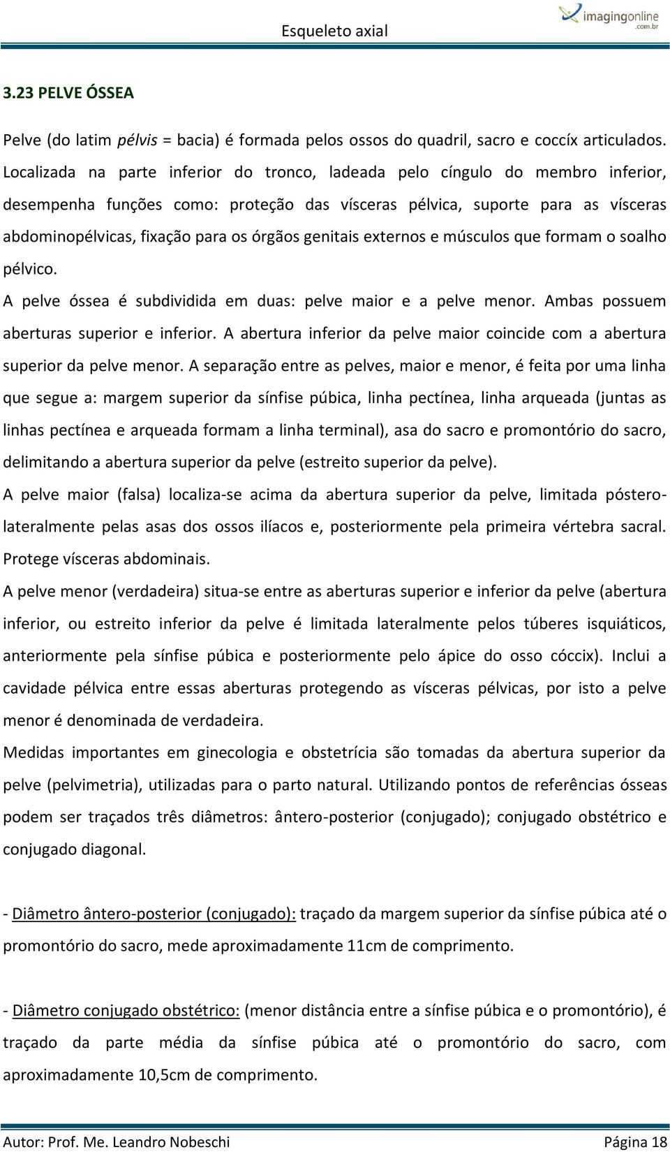 órgãos genitais externos e músculos que formam o soalho pélvico. A pelve óssea é subdividida em duas: pelve maior e a pelve menor. Ambas possuem aberturas superior e inferior.