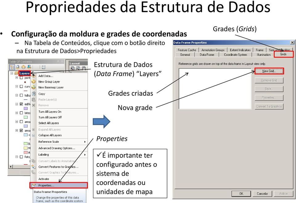 Dados>Propriedades Grades (Grids) Estrutura de Dados (Data Frame) Layers Grades