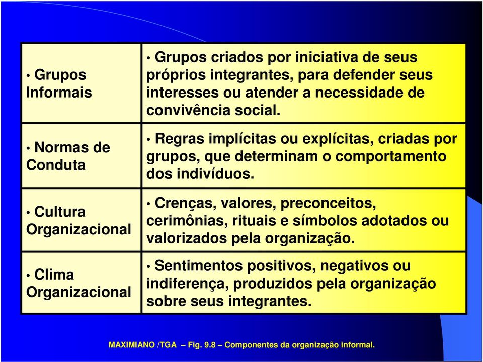 Regras implícitas ou explícitas, criadas por grupos, que determinam o comportamento dos indivíduos.