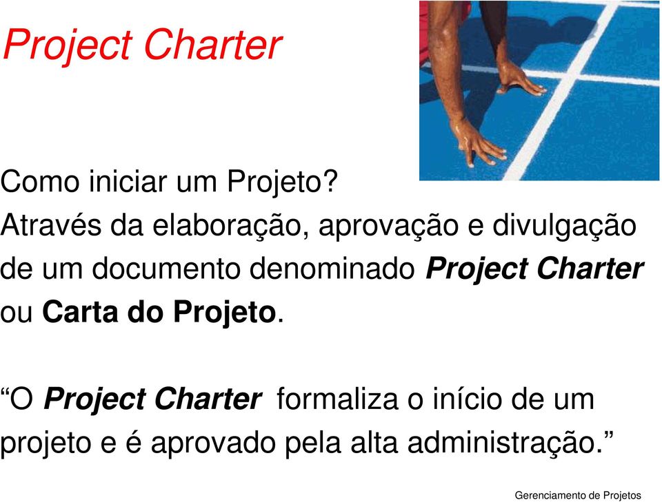 documento denominado Project Charter ou Carta do Projeto.