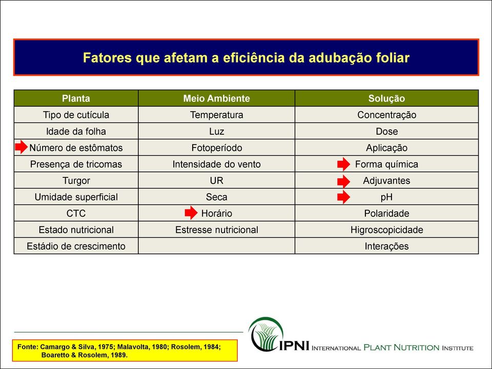 Turgor UR Adjuvantes Umidade superficial Seca ph CTC Horário Polaridade Estado nutricional Estresse nutricional