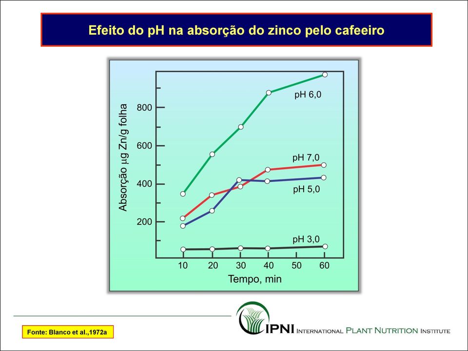 do ph na absorção