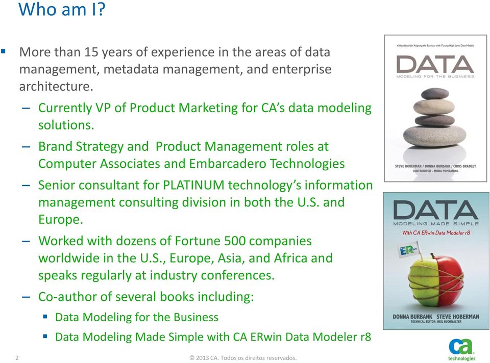 Brand Strategy and Product Management roles at Computer Associates and Embarcadero Technologies Senior consultant for PLATINUM technology s information management consulting