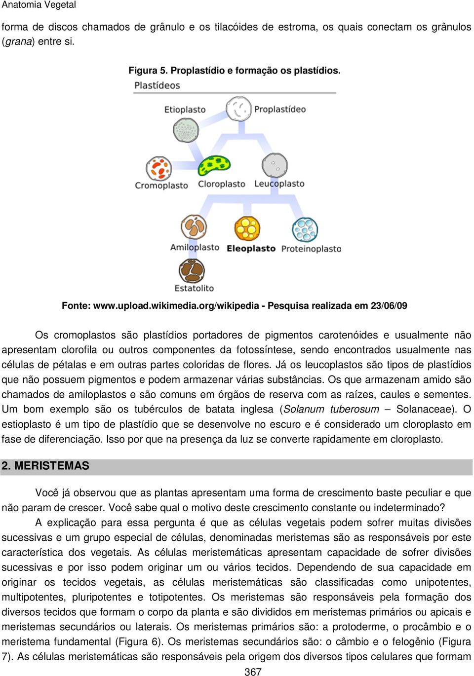 encontrados usualmente nas células de pétalas e em outras partes coloridas de flores. Já os leucoplastos são tipos de plastídios que não possuem pigmentos e podem armazenar várias substâncias.