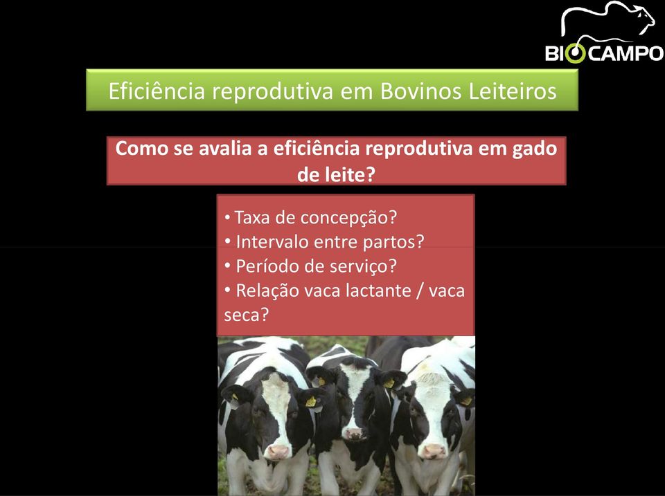 leite? Taxa de concepção? Intervalo entre partos?