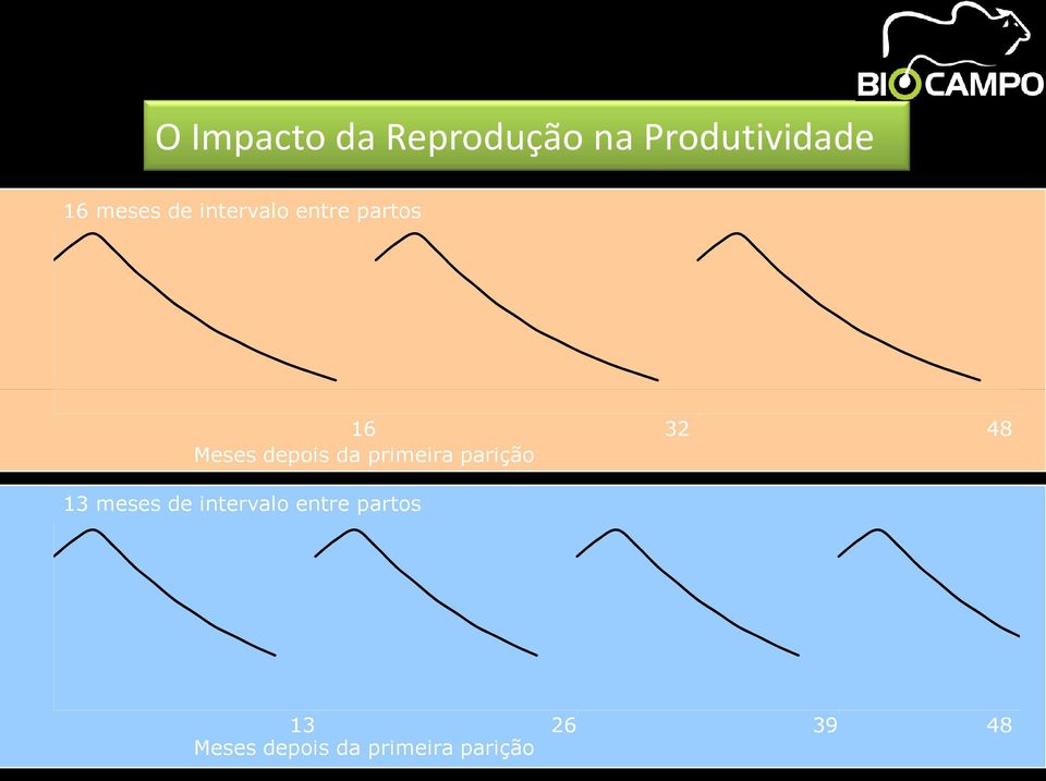 da primeira parição 13 meses de intervalo entre