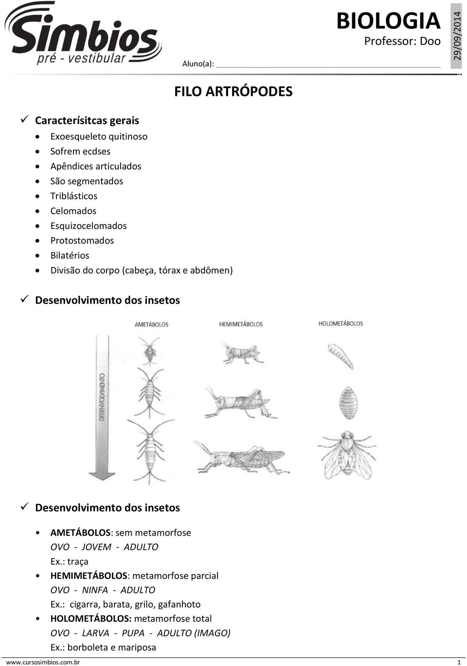 Desenvolvimento dos insetos AMETÁBOLOS: sem metamorfose OVO - JOVEM - ADULTO Ex.: traça HEMIMETÁBOLOS: metamorfose parcial OVO - NINFA - ADULTO Ex.
