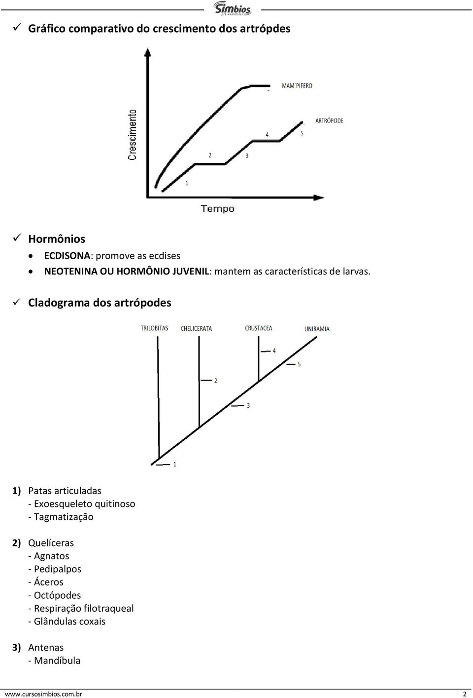 Cladograma dos artrópodes 1) Patas articuladas - Exoesqueleto quitinoso - Tagmatização 2)