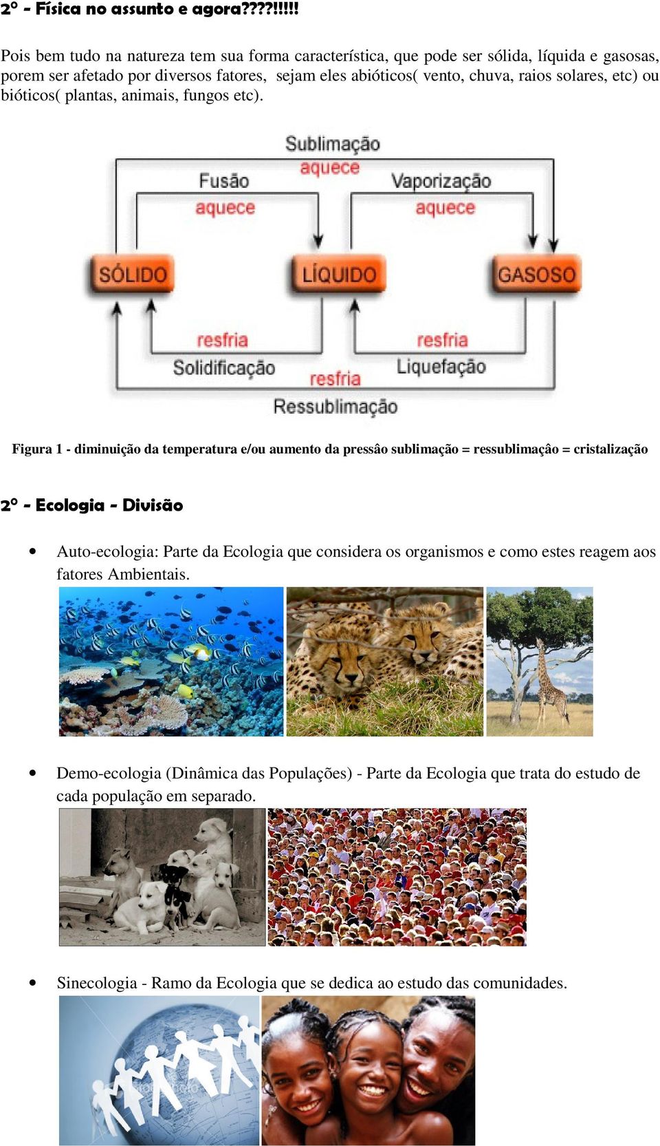 vento, chuva, raios solares, etc) ou bióticos( plantas, animais, fungos etc).