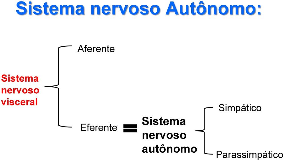 visceral Eferente Sistema