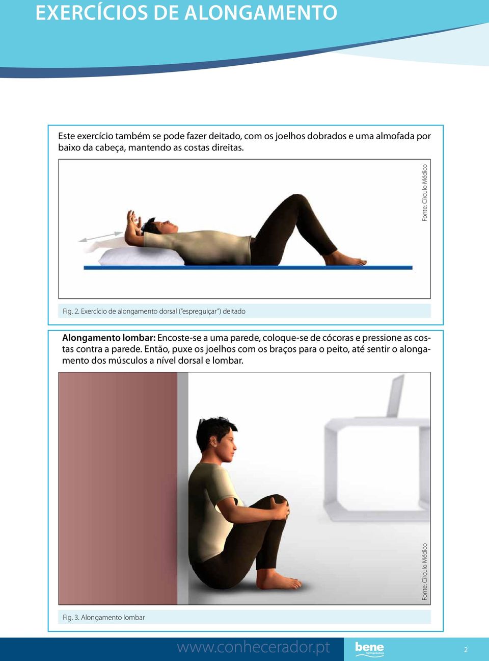 Exercício de alongamento dorsal ( espreguiçar ) deitado Alongamento lombar: Encoste-se a uma parede, coloque-se