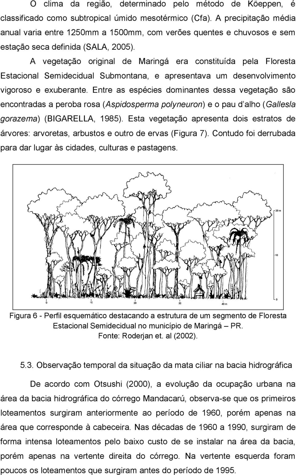 A vegetação original de Maringá era constituída pela Floresta Estacional Semidecidual Submontana, e apresentava um desenvolvimento vigoroso e exuberante.