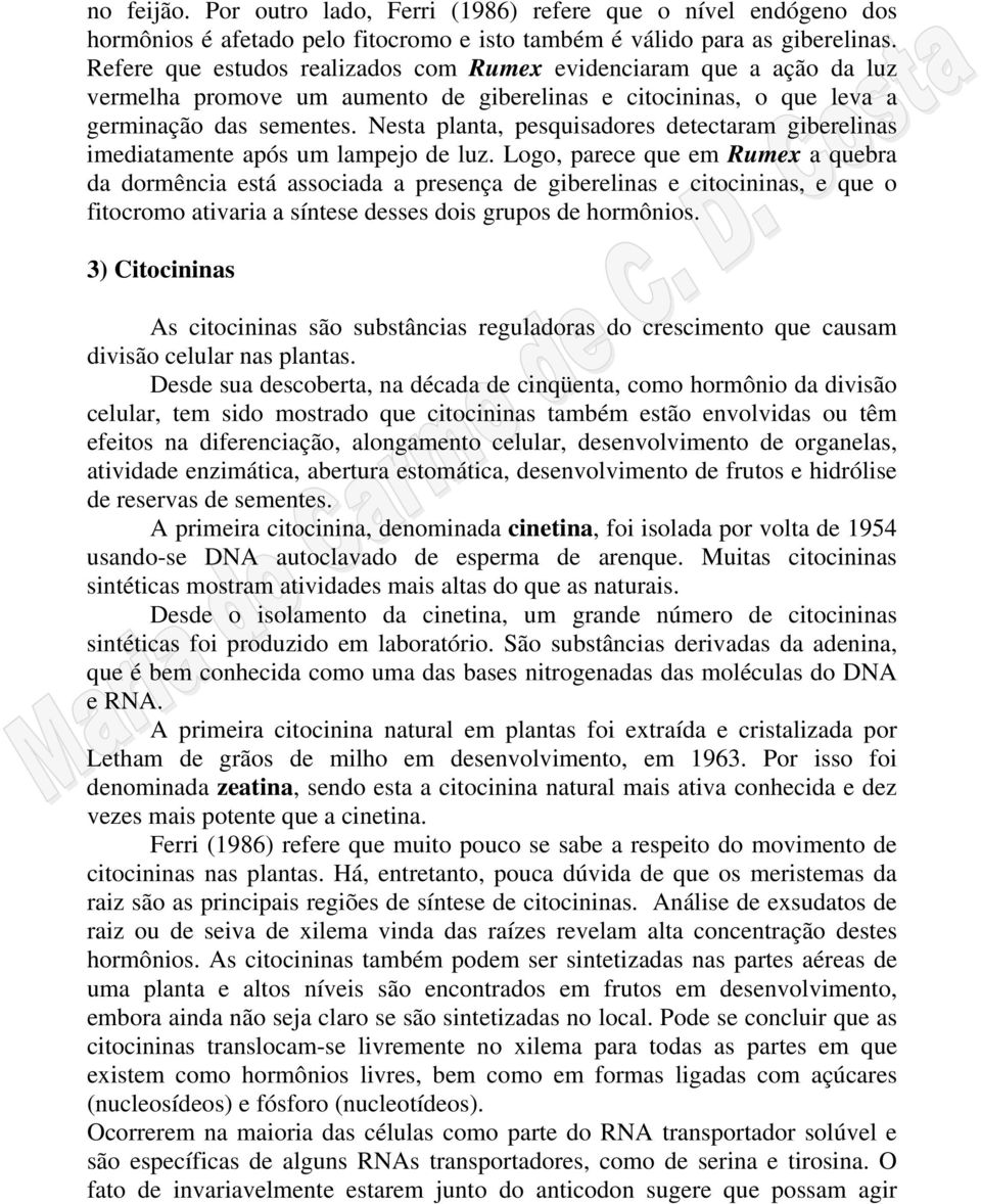 Nesta planta, pesquisadores detectaram giberelinas imediatamente após um lampejo de luz.