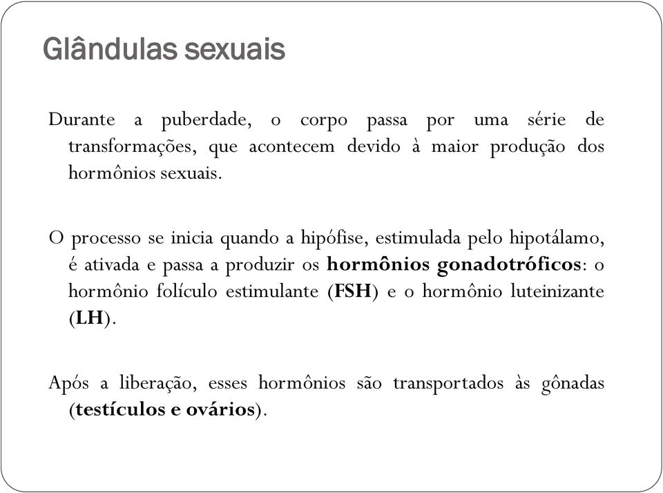 O processo se inicia quando a hipófise, estimulada pelo hipotálamo, é ativada e passa a produzir os