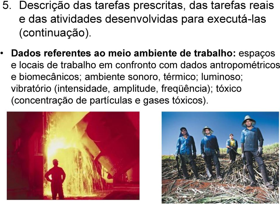 Dados referentes ao meio ambiente de trabalho: espaços e locais de trabalho em confronto com