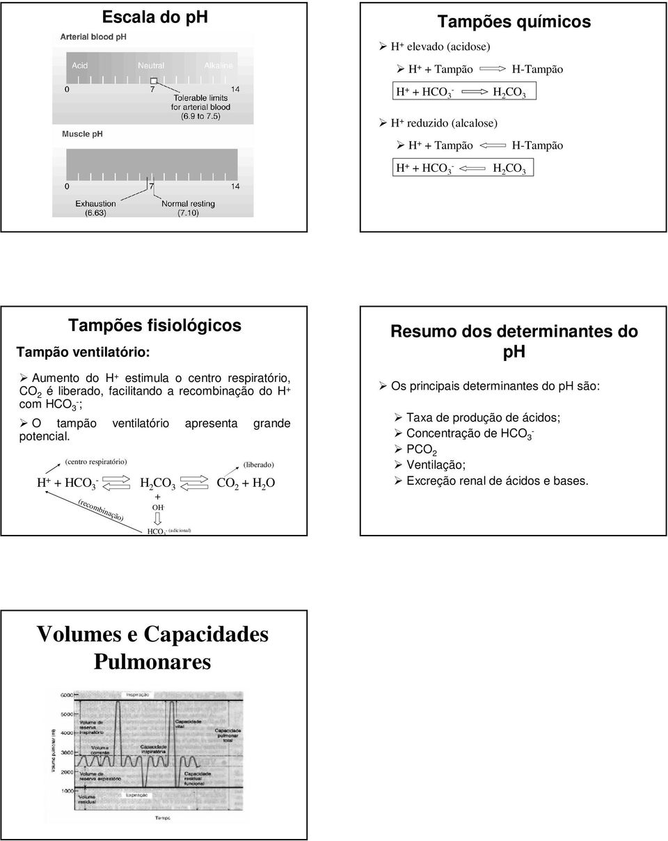 apresenta grande potencial.