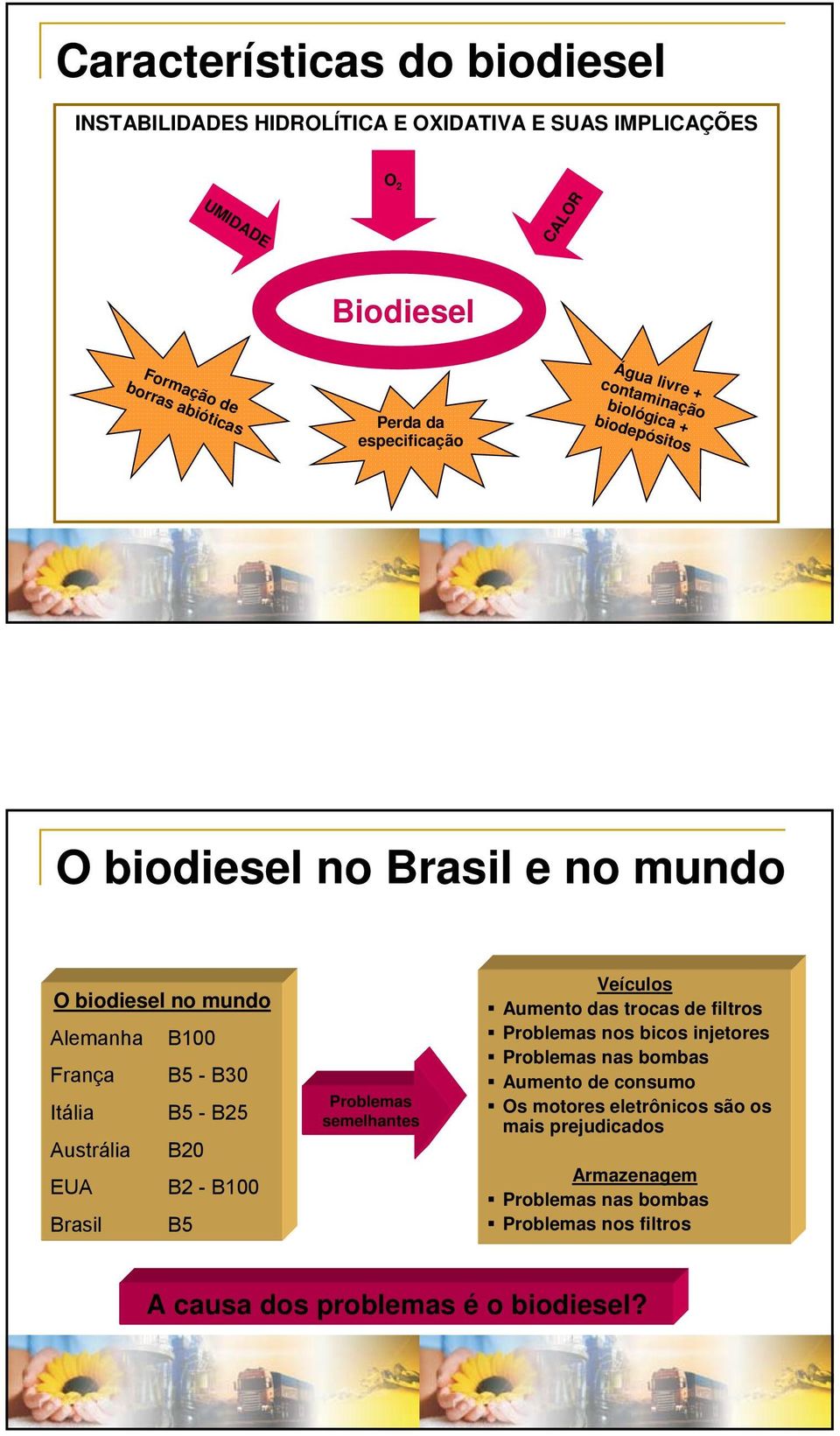 B5 - B25 Austrália B20 EUA B2 - B100 Brasil B5 Problemas semelhantes Veículos Aumento das trocas de filtros Problemas nos bicos injetores Problemas nas