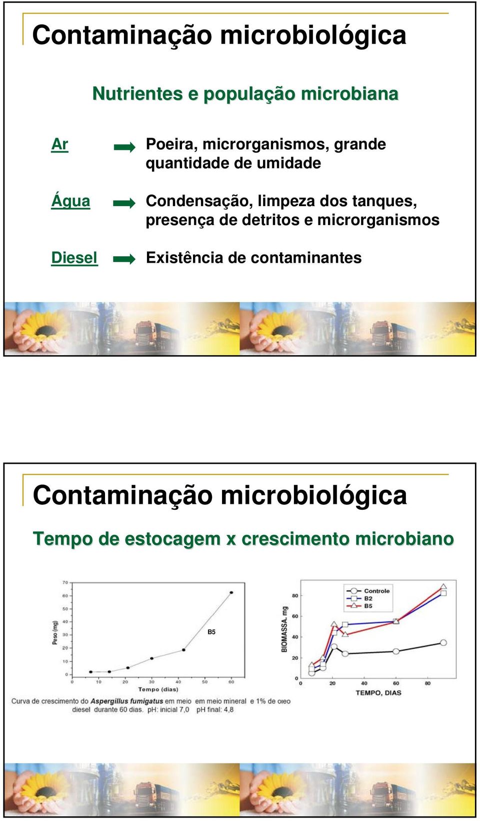 limpeza dos tanques, presença de detritos e microrganismos Existência de