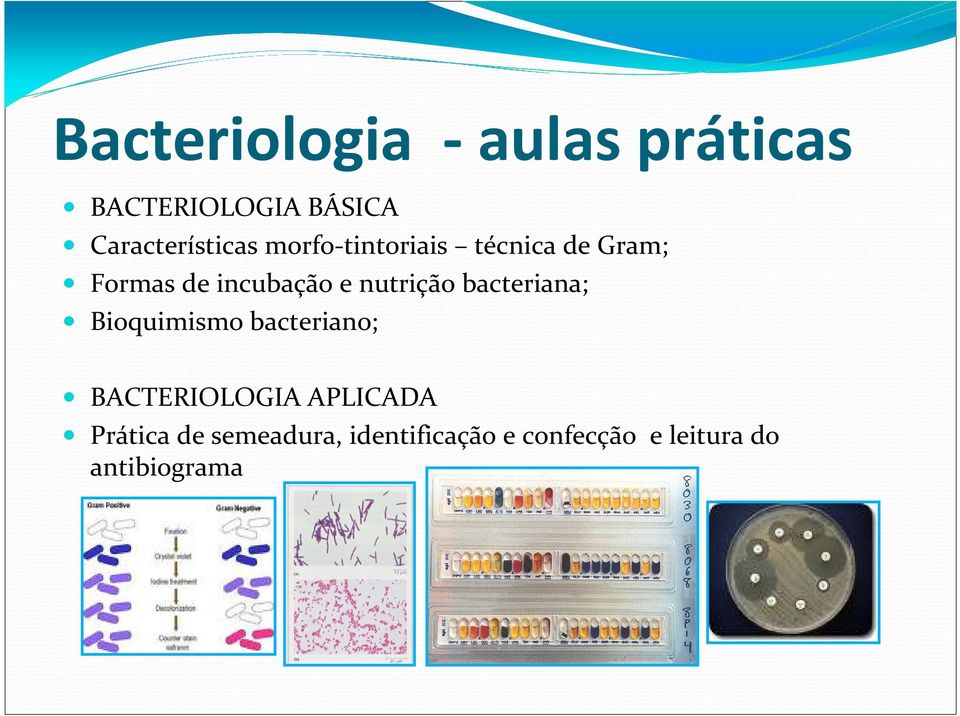 incubação e nutrição bacteriana; Bioquimismo bacteriano;