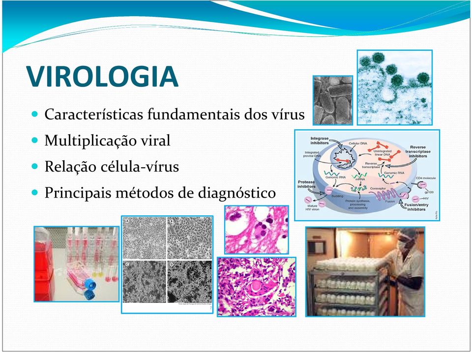 Multiplicação viral Relação