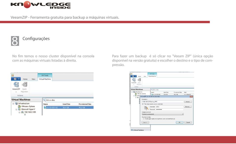 Para fazer um backup é só clicar no "Veeam ZIP" (única opção