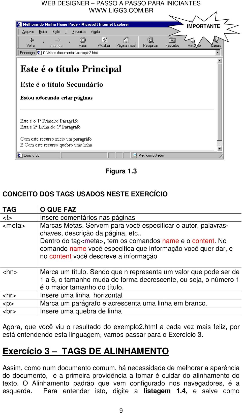 No comando name você especifica que informação você quer dar, e no content você descreve a informação <hn> <hr> <p> <br> Marca um título.