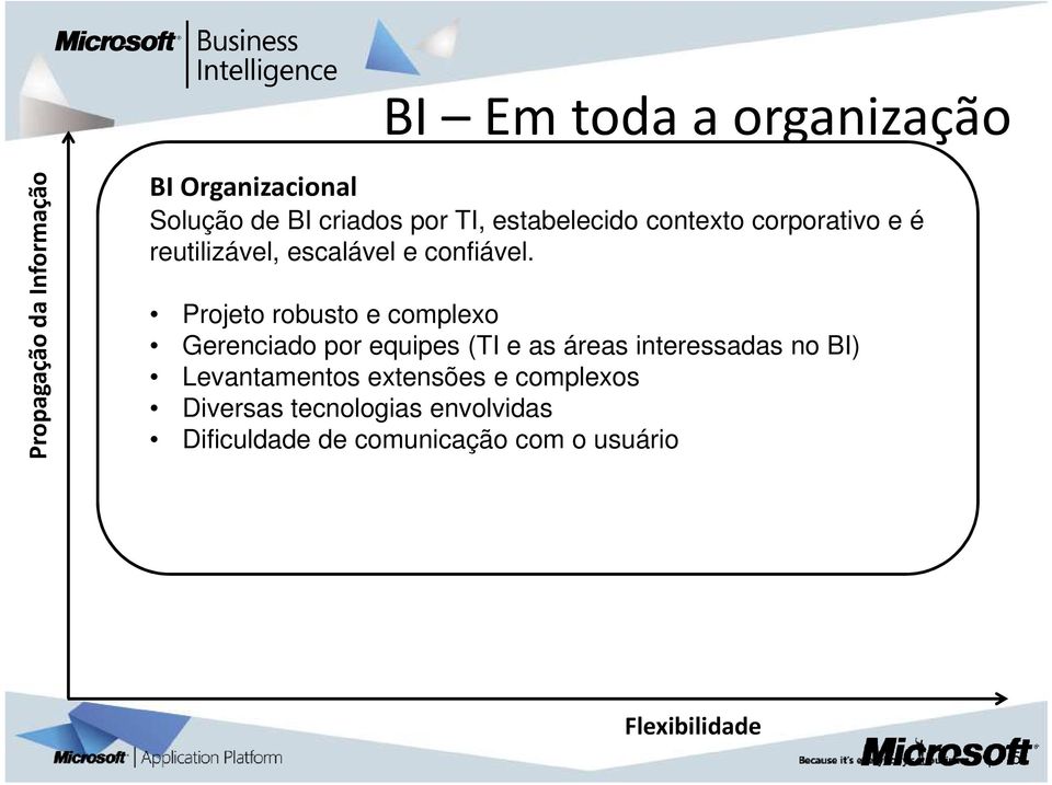 Projeto robusto e complexo Gerenciado por equipes (TI e as áreas interessadas no BI)