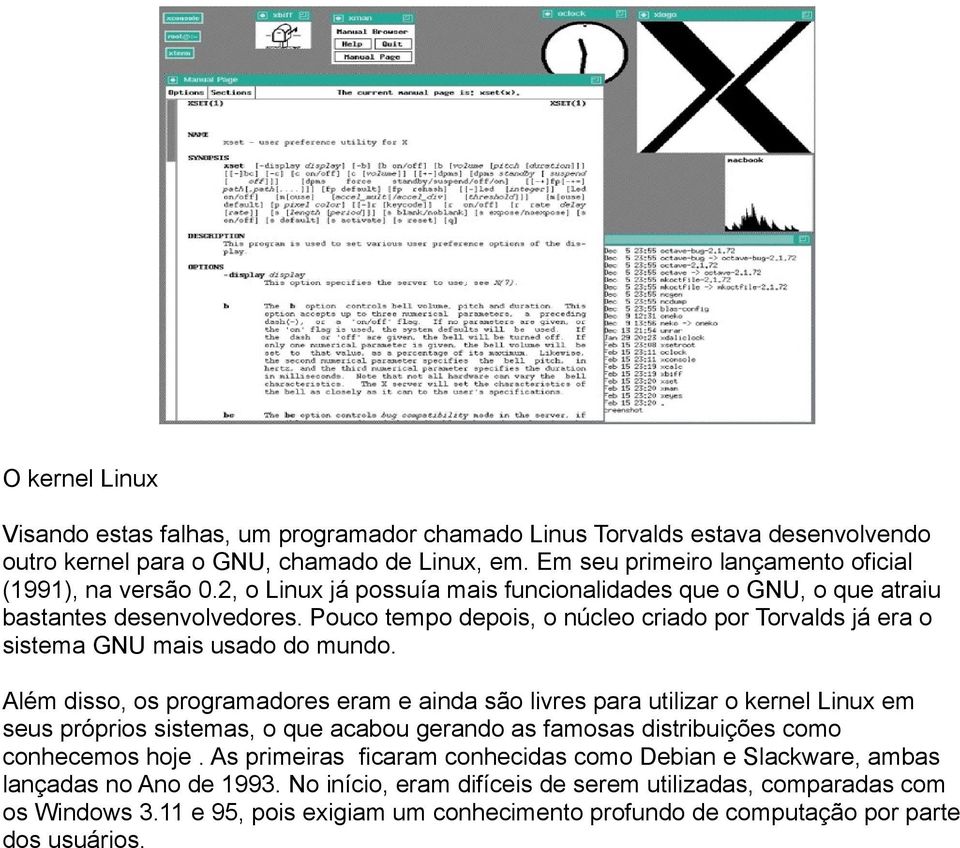 Além disso, os programadores eram e ainda são livres para utilizar o kernel Linux em seus próprios sistemas, o que acabou gerando as famosas distribuições como conhecemos hoje.