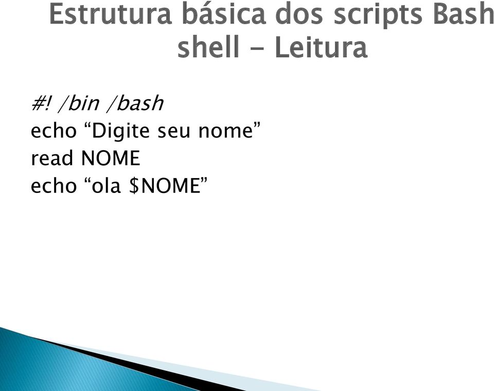 /bin /bash echo Digite seu