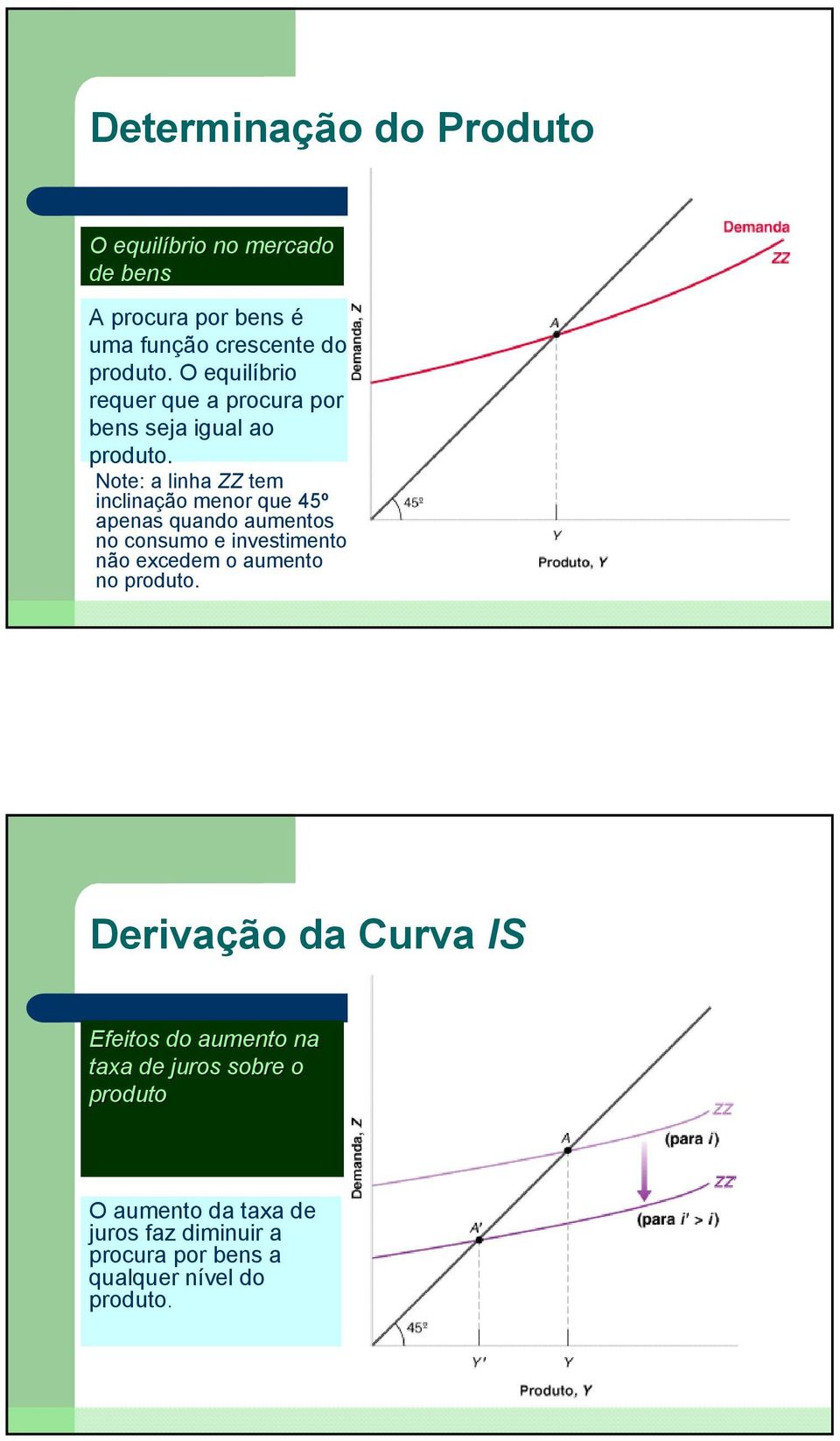 Note: a linha ZZ tem inclinação menor que 45º apenas quando aumentos no consumo e investimento não excedem o aumento