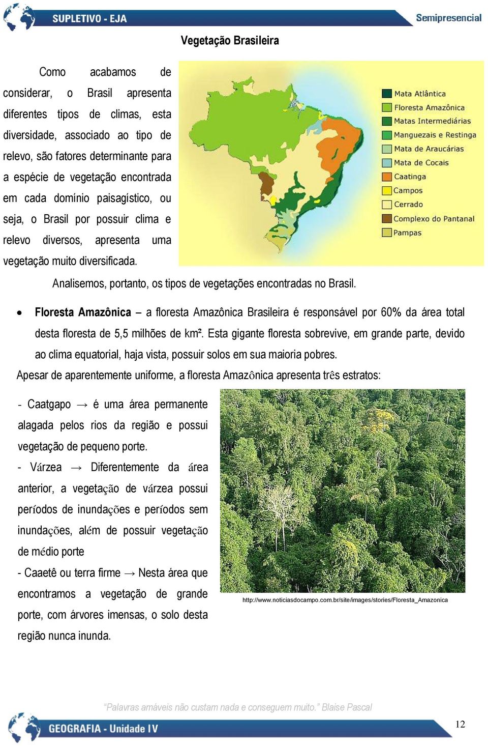 Analisemos, portanto, os tipos de vegetações encontradas no Brasil. Floresta Amazônica a floresta Amazônica Brasileira é responsável por 60% da área total desta floresta de 5,5 milhões de km².