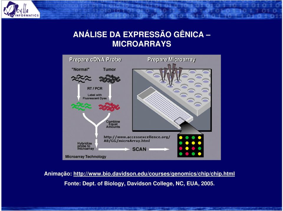 edu/courses/genomics/chip/chip.