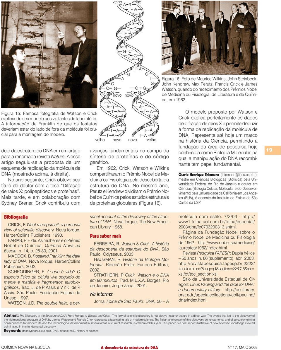 A informação de Franklin de que os fosfatos deveriam estar do lado de fora da molécula foi crucial para a montagem do modelo. delo da estrutura do DNA em um artigo para a renomada revista Nature.