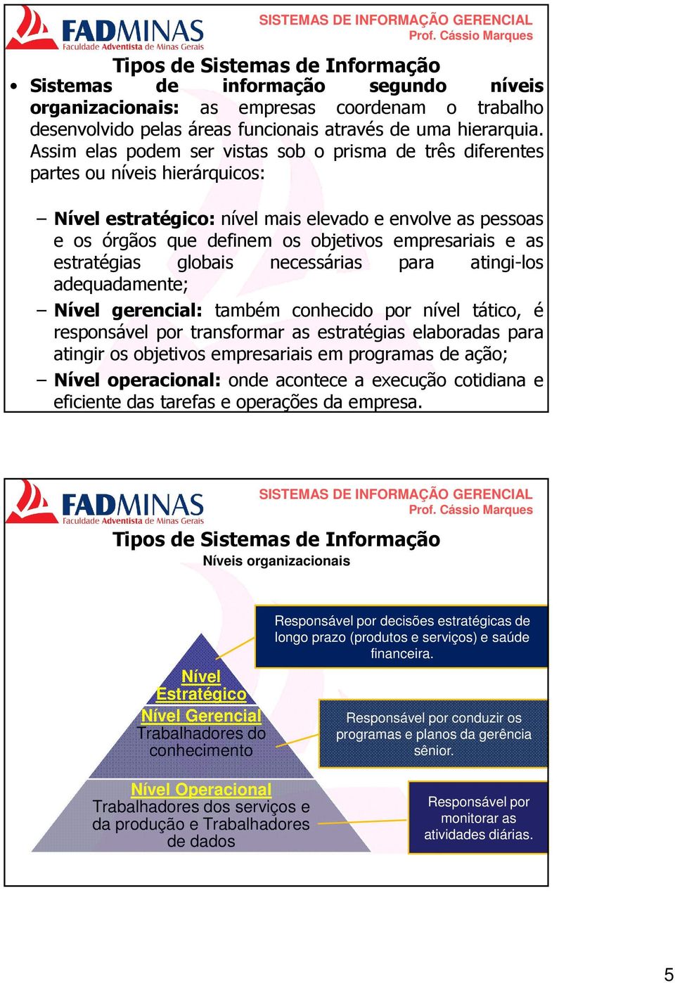 as estratégias globais necessárias para atingi-los adequadamente; Nível gerencial: também conhecido por nível tático, é responsável por transformar as estratégias elaboradas para atingir os objetivos