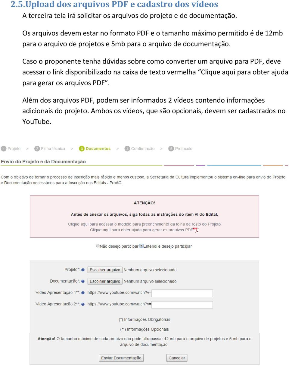 Caso o proponente tenha dúvidas sobre como converter um arquivo para PDF, deve acessar o link disponibilizado na caixa de texto vermelha Clique aqui para