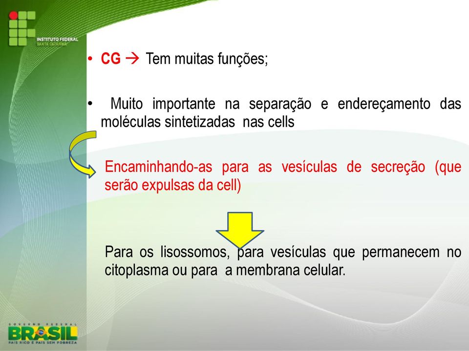 para as vesículas de secreção (que serão expulsas da cell) Para os