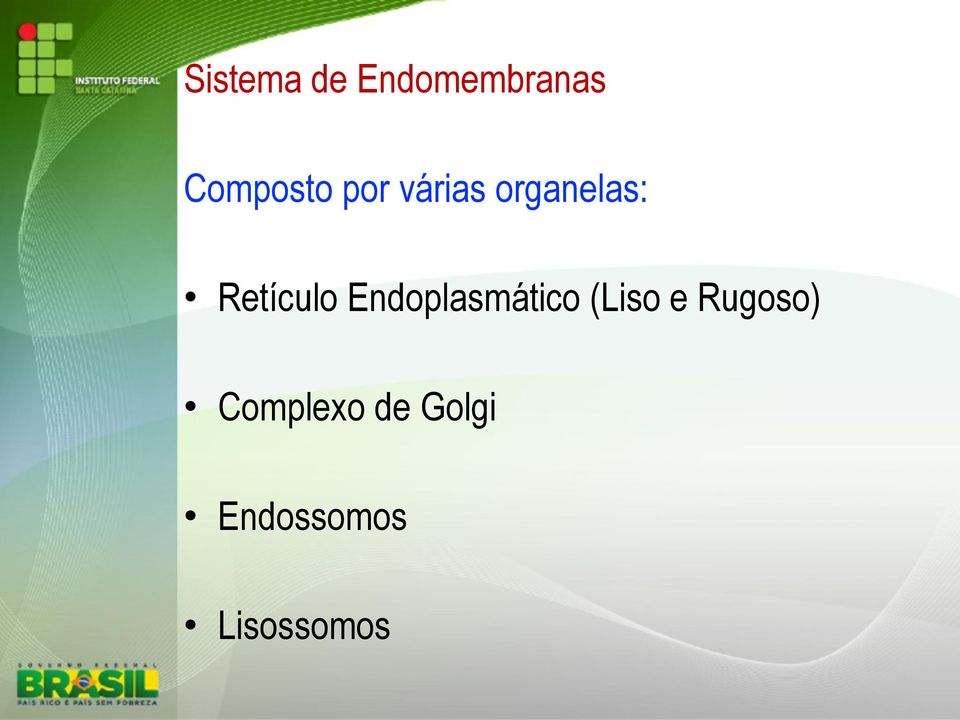 Endoplasmático (Liso e Rugoso)