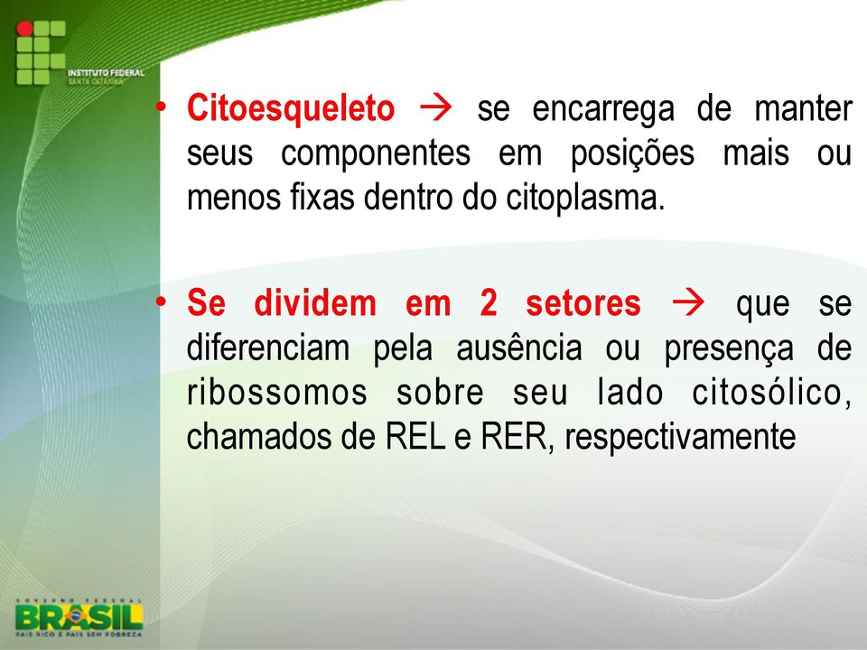 Se dividem em 2 setores que se diferenciam pela ausência ou