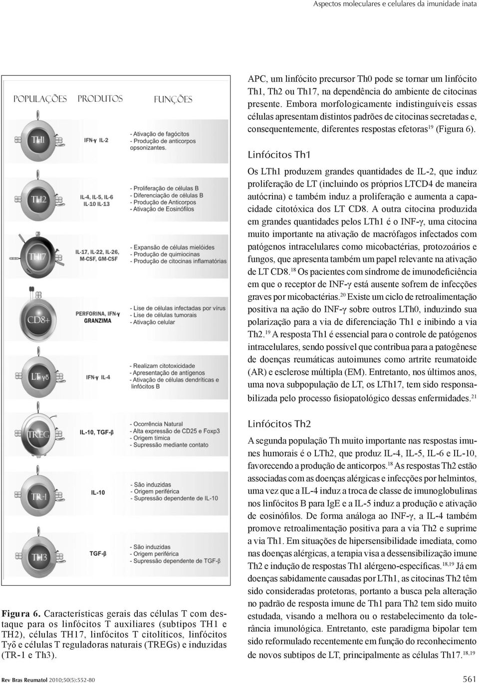 Linfócitos Th1 Os LTh1 produzem grandes quantidades de IL-2, que induz proliferação de LT (incluindo os próprios LTCD4 de maneira autócrina) e também induz a proliferação e aumenta a capacidade