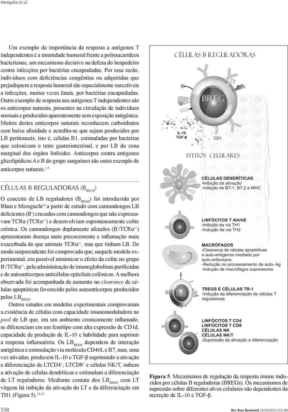 bactérias encapsuladas.