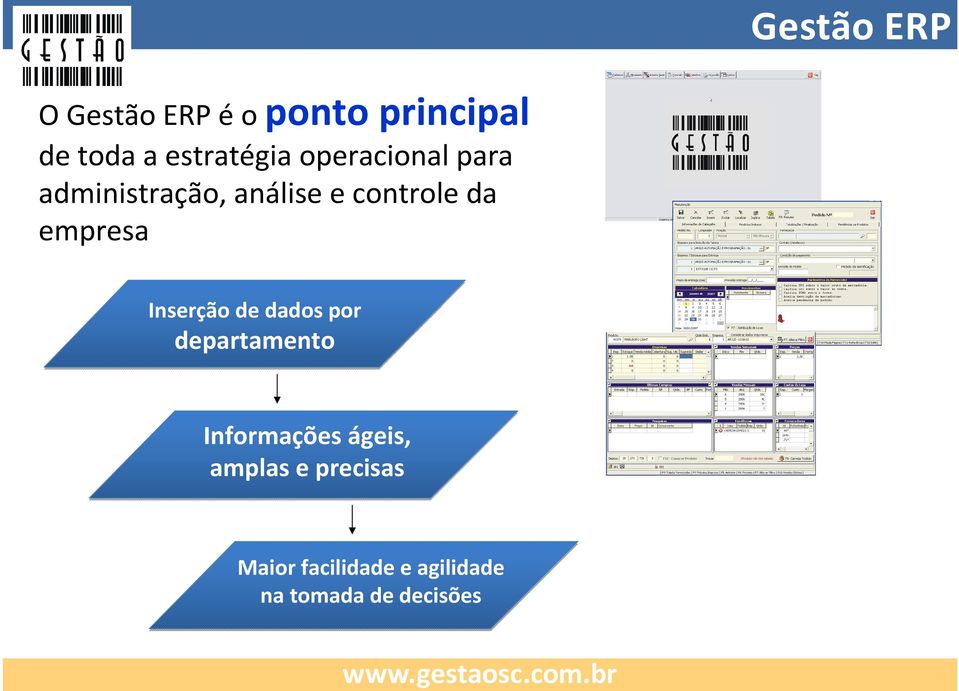 da empresa Inserção de dados por departamento Informações