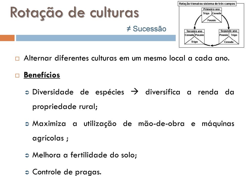 Benefícios Diversidade de espécies diversifica a renda da