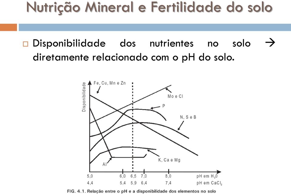 Disponibilidade dos